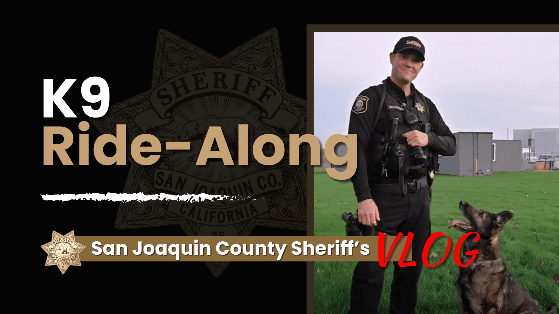 Virtual Ride-Along with San Joaquin County Sheriff K-9